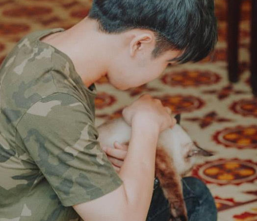 养猫会导致人精神异常？其实还是弓形虫作祟！如何预防弓形虫感染