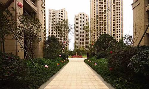 记住这个楼层“小天使”,住着舒服又不贵,堪称楼层“小马达”