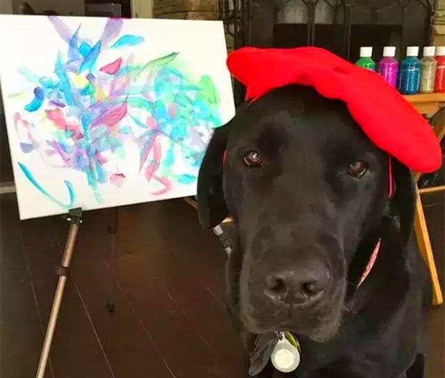 柴犬拥有杰出艺术天赋, 主人试着教导爱犬学绘画, 如今一画千元!