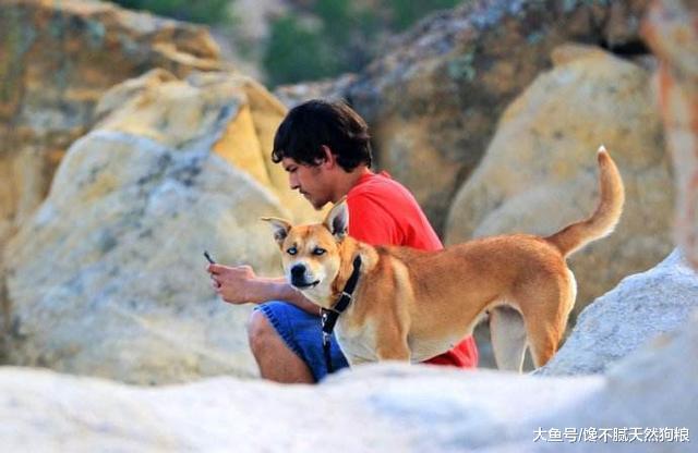 这5类狗狗, 一定要拉黑, 不能养!