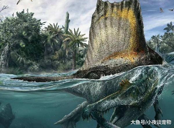 棘龍怕什么恐龍，棘龍能打敗霸王龍嗎？