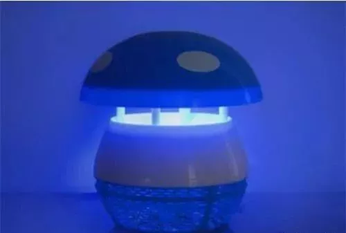 蚊子最害怕的东西，不是蚊香！莫不信，只需十分钟蚊子踪影全不见