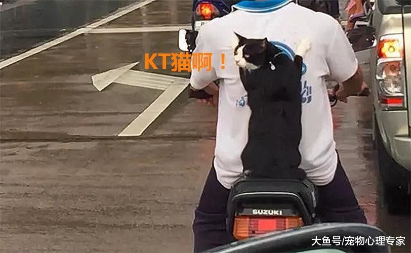 遠遠發現個騎摩托的小伙，身上的背包很特別，追上一看豎起大拇指