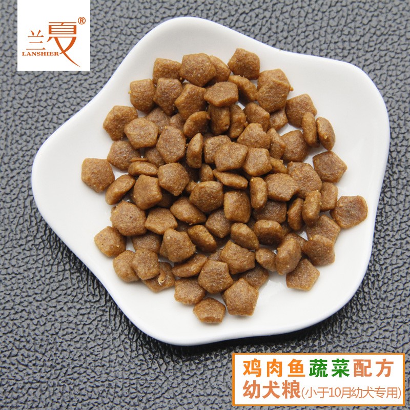 兰夏小知识~喂养幼犬的一些小技巧