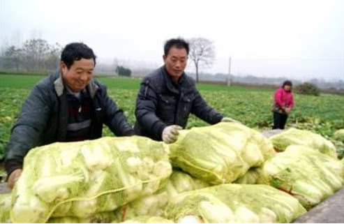 鼻炎|被世界卫生组织列入黑名单的几种蔬菜，若你喜欢吃，尽量早丢掉！