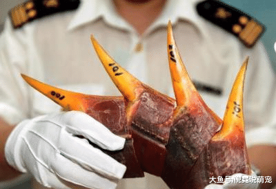 文玩：有些东西碰不得，文玩也有禁忌，小心倾家荡产