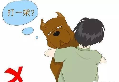 见到狗狗时, 人们常做这5件事, 难怪会被咬!