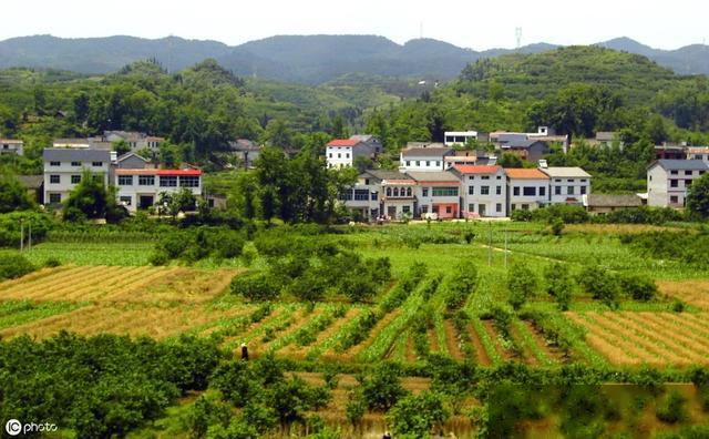 若干年后农村还有人吗