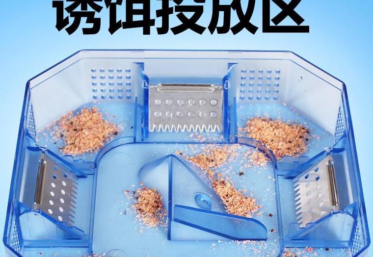 家中一旦出现蟑螂，记住千万别踩，3个办法，蟑螂死光光