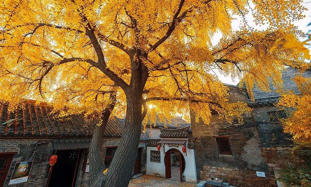 在福州，拥有一个自己的庭院是多难得的事？