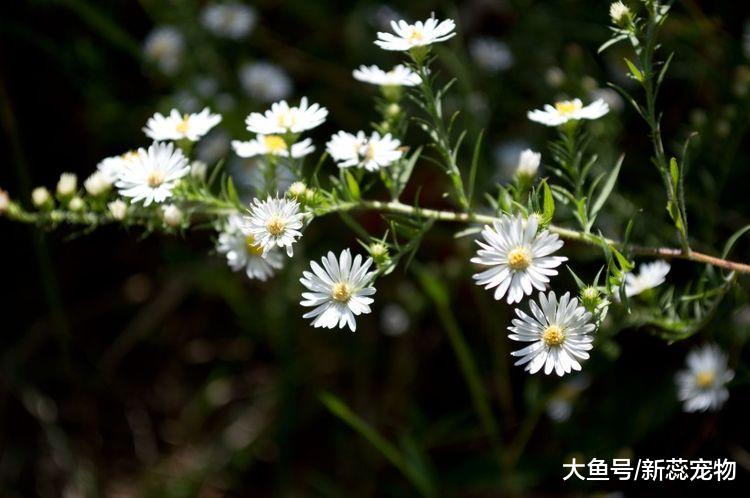 “最容易看破红尘”的3大星座，如人饮水冷暖自知！