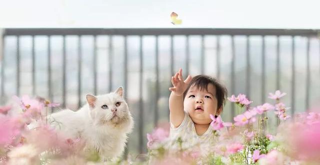 揭秘：小白买房极易中招的10大痛点！住进去才大呼后悔