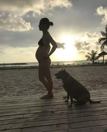 狗狗趴在怀孕女子肚上，被腹中孩子踢了一脚，瞬间懵逼