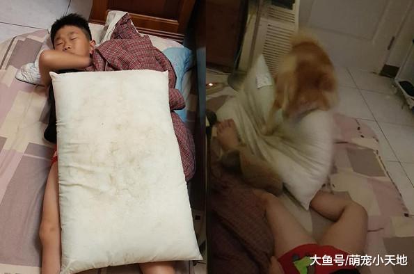 哥哥睡地板踢被！暖男柴3次帮盖口水枕：肚子会着凉哦