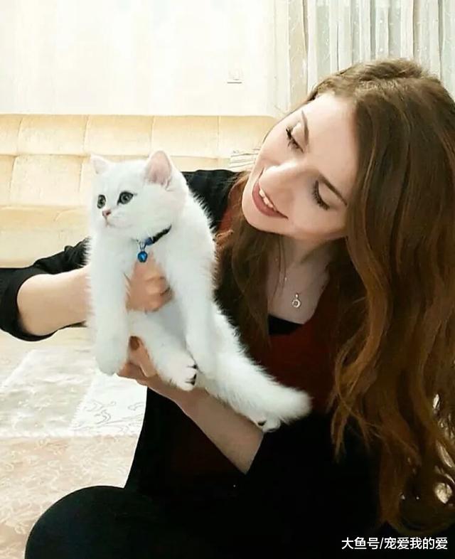 女孩领养了一只看似普通的猫，四个月后，她被猫的颜值惊艳到了