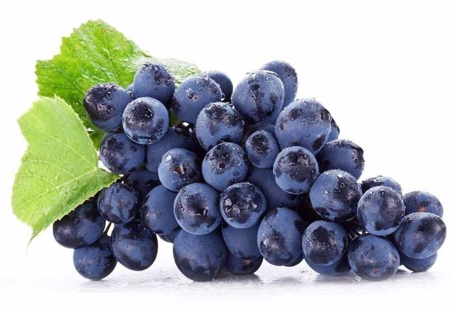 5大狗狗禁忌食物，每一样都很恐怖，主人要帮狗狗＂挑食＂