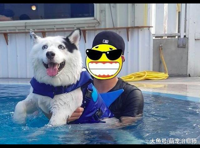 当哈士奇串串第一次下水游泳时，眼睛都瞪直了：我是谁我在哪？