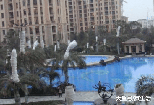 買房是東邊套還是西邊套好？聽內行人一說，才知家里買錯了