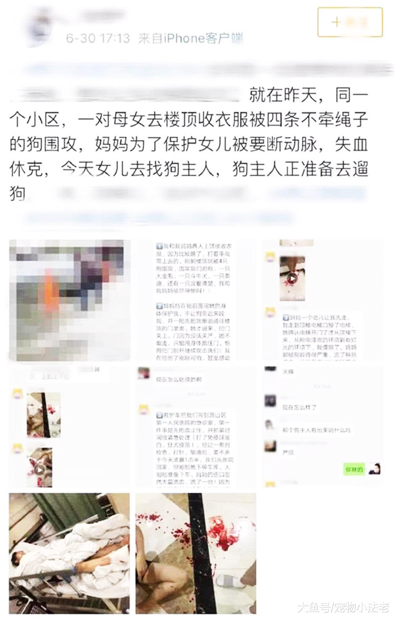 2女遭4只疯狗撕咬，狗主袖手旁观，只说了1句：我力气小拉不住