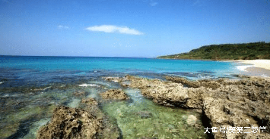 皇天不负苦心人, 他的等待终于有了回报