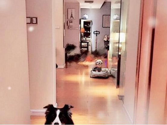 带你参观丁子峻住的豪宅，书房设计了开放式书柜，摆满了名贵饰品