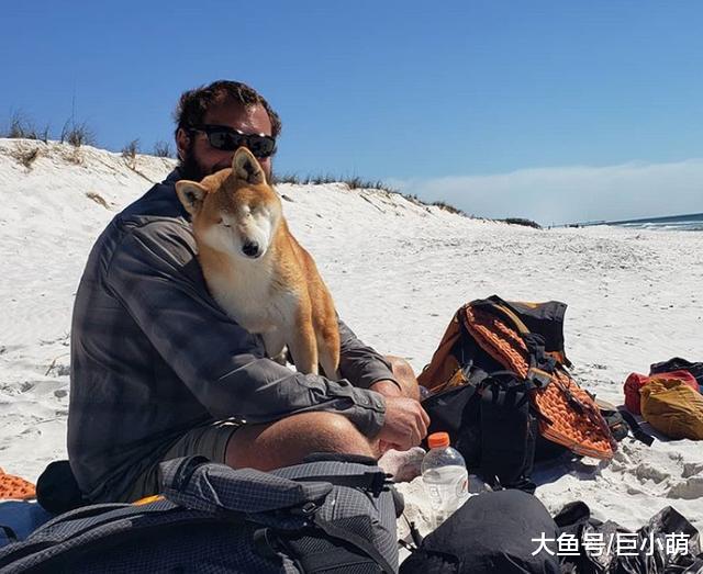 失明的柴犬却坚持徒步探险，和主人相伴翻山越岭，完成83天的旅程