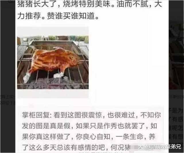 网传小伙网购宠物猪，养两个月后竟被做成烤乳猪，网友：良心呢？