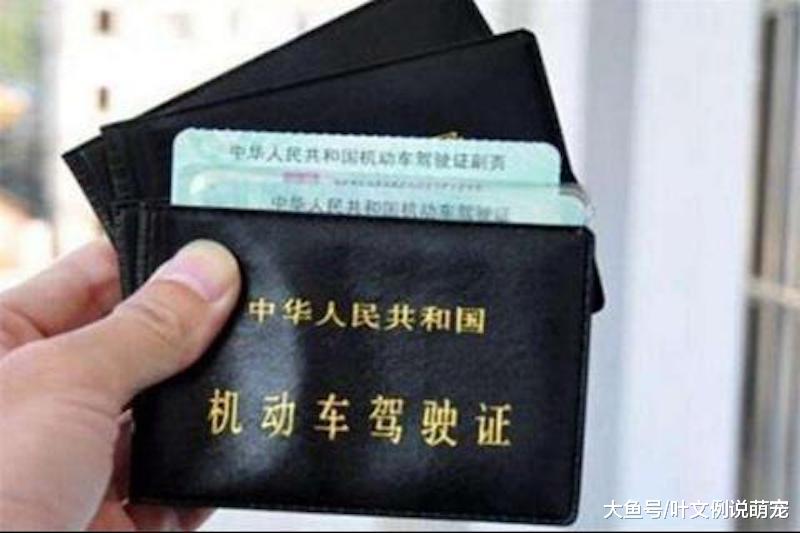 驾照1分没扣，却被吊销了？交警：谁叫你没看驾照上“这4个字”