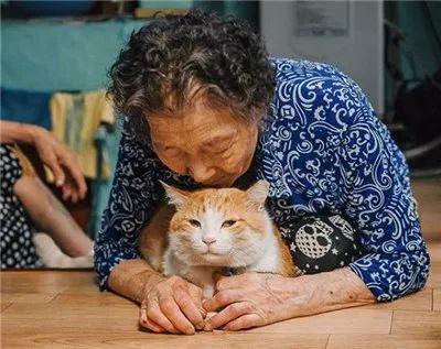被奶奶带大的橘猫, 就是和别人家的不一样哈