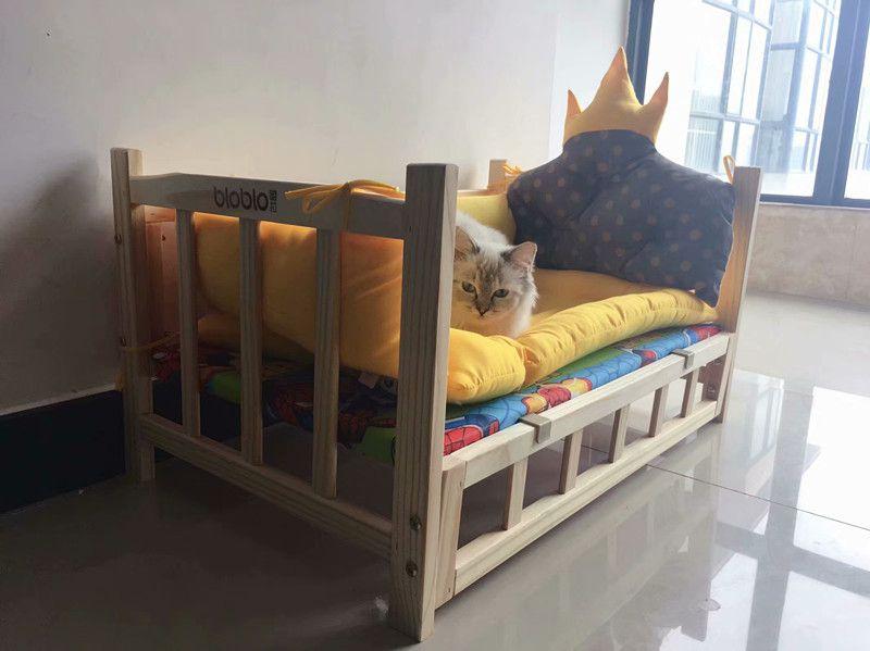 把狗买回家后，傲娇的猫咪小公主就和狗子混在一起了