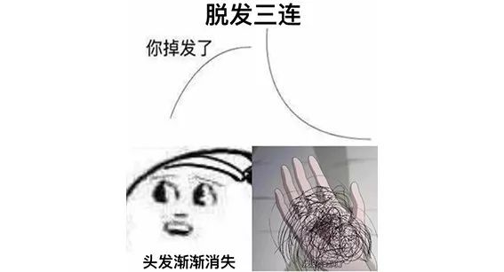 为啥猫咪每天掉毛依然毛茸茸？别酸啦，其实猫也是会秃的！