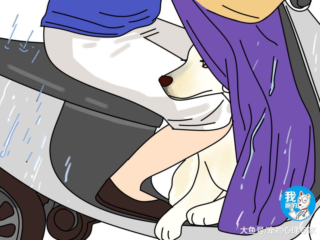 雨天路人匆忙赶路回家，其中一男子引人议论：是真爱还是傻？