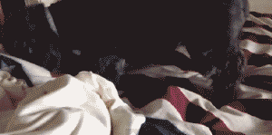 不怕养狗太操心，就怕狗子瞎操心！