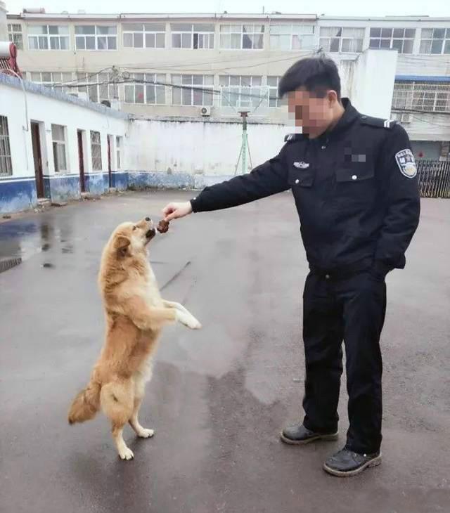 農村土狗打劫警察蜀黍，結果被帶回警局差點把食堂吃垮！