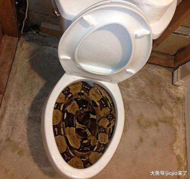 慎点！让人毛骨悚然的澳大利亚，这里可不止有袋鼠噢……