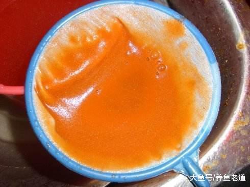 這些繁殖方法簡單的觀賞魚，學會了孵化豐年蝦都可以繁殖啦！