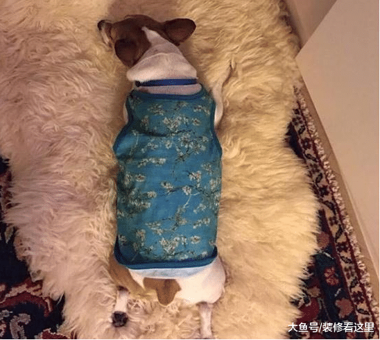 看看这位老戏骨现实的家，平时生活很朴素，连房子都是普通房子
