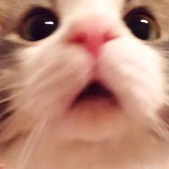 看了我的电脑D盘后，爸妈决定把我踢出家庭群！聊天记录感人...