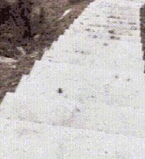 爆笑GIF图：舞蹈系女生能给你的生活带来更多的可能