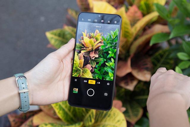 率先上手OPPO K5：高颜值拍照利器，开黑吃鸡真的爽