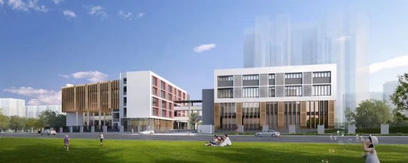 倾“岛”众生！沙面小学来了，原汁原味的新加坡教育也来了！