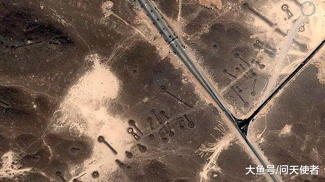 假如用数十年寿命换取一个真相，你愿意吗？科学家给出这样的答复