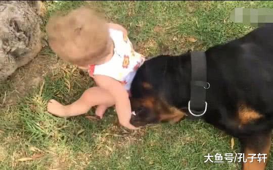 猛犬被宝宝一屁股坐在头上，龇牙咧嘴抬起头却做出让宝妈吃惊一幕！