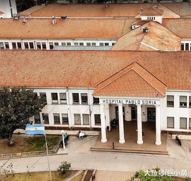 忠犬拉布拉多不知道主人去世，在医院门口静坐一周，等主人回家