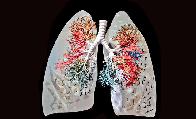 有支气管炎，医生提醒：1味方子每天煮水喝，不攻自好