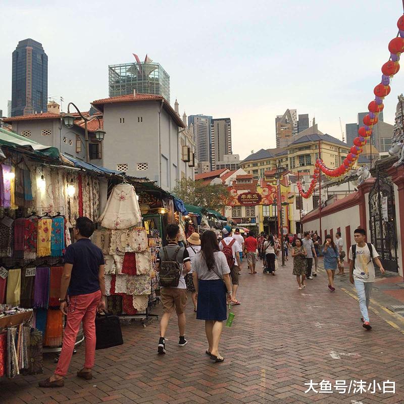 为什么新加坡20年的老房子，从不见蚊子！国人：我们也想解放双手