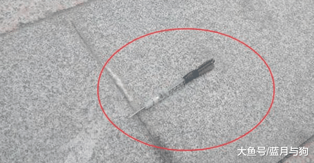 哈士奇突然倒在地上，身体还不停抽搐，主人一看愤怒了