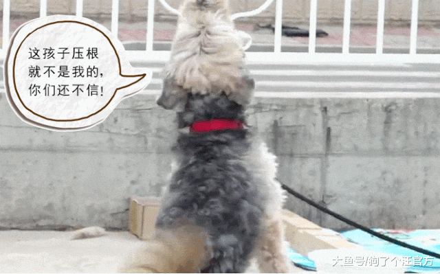 这是一个关于绿帽子的故事