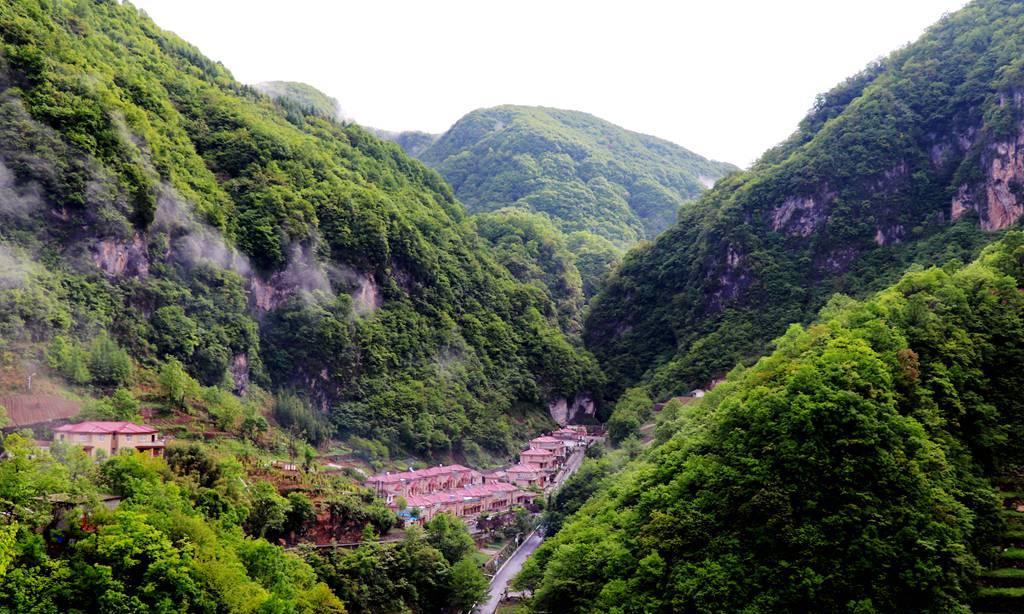 鄂西北的山沟沟里, 有一个远近闻名的富裕村, 家家有别墅