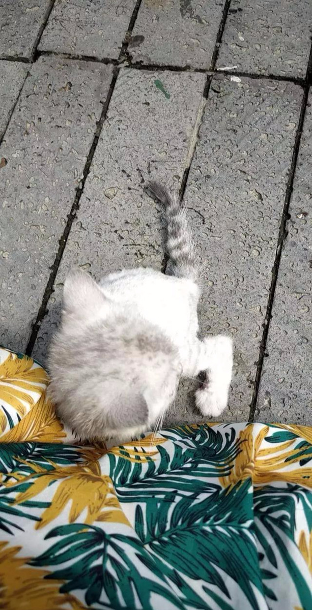 你见过最二的二手转卖是什么样的？